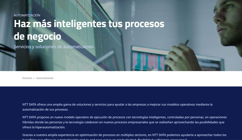NTT Data internal application screenshot 1