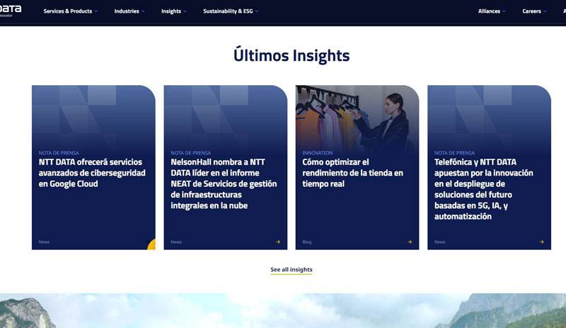 NTT Data internal application screenshot 2