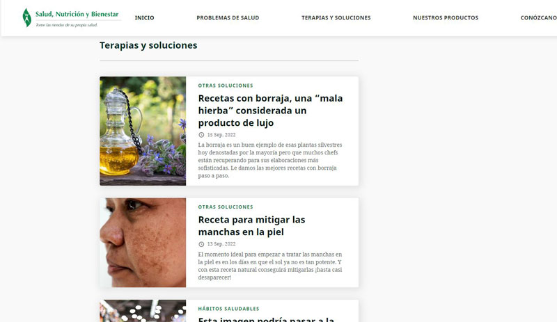 Salud Nutricion y Bienestar website screenshot 3